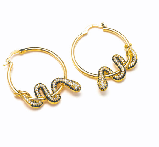 Snake Hoops